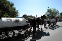 Schlossfest 2008 008